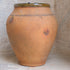 Olive Jar 324 (11x30)