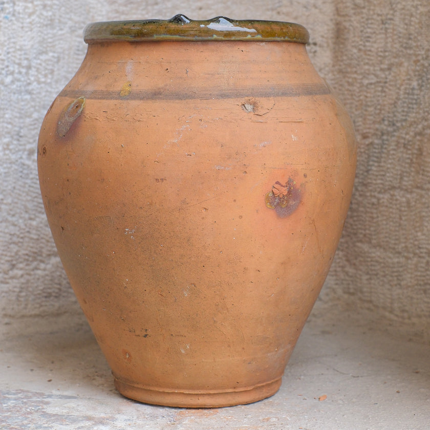 Olive Jar 324 (11x30)