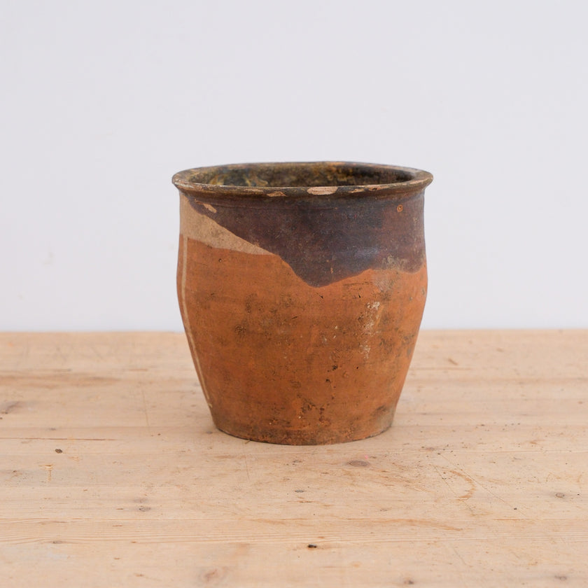 Olive Jar 730 (8x25)