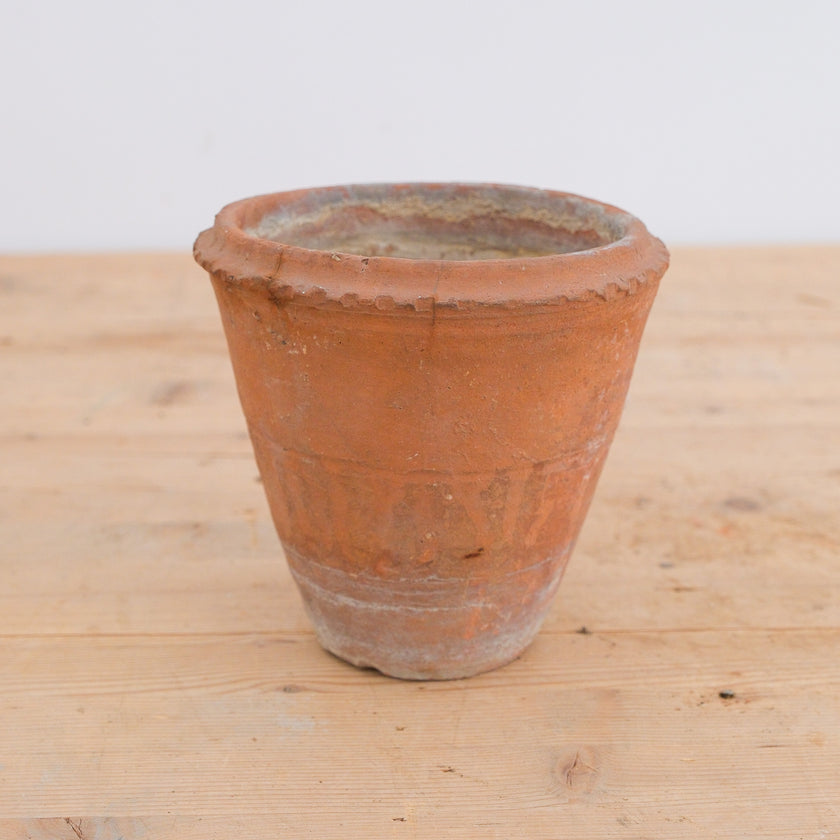 Olive Jar 763 (6x19)