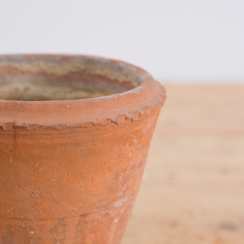 Olive Jar 763 (6x19)