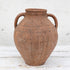 Olive Jar 854 (13x34)