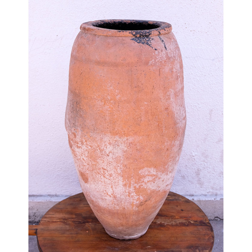 Olive Jar 175 (28x46)