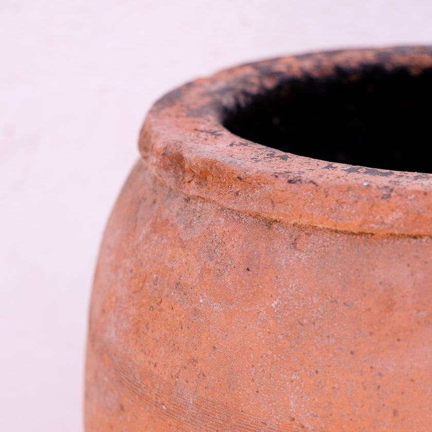 Olive Jar 175 (28x46)