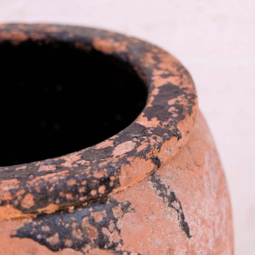 Olive Jar 175 (28x46)