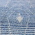 16977 Handwoven Rug 9’8 x 13’9