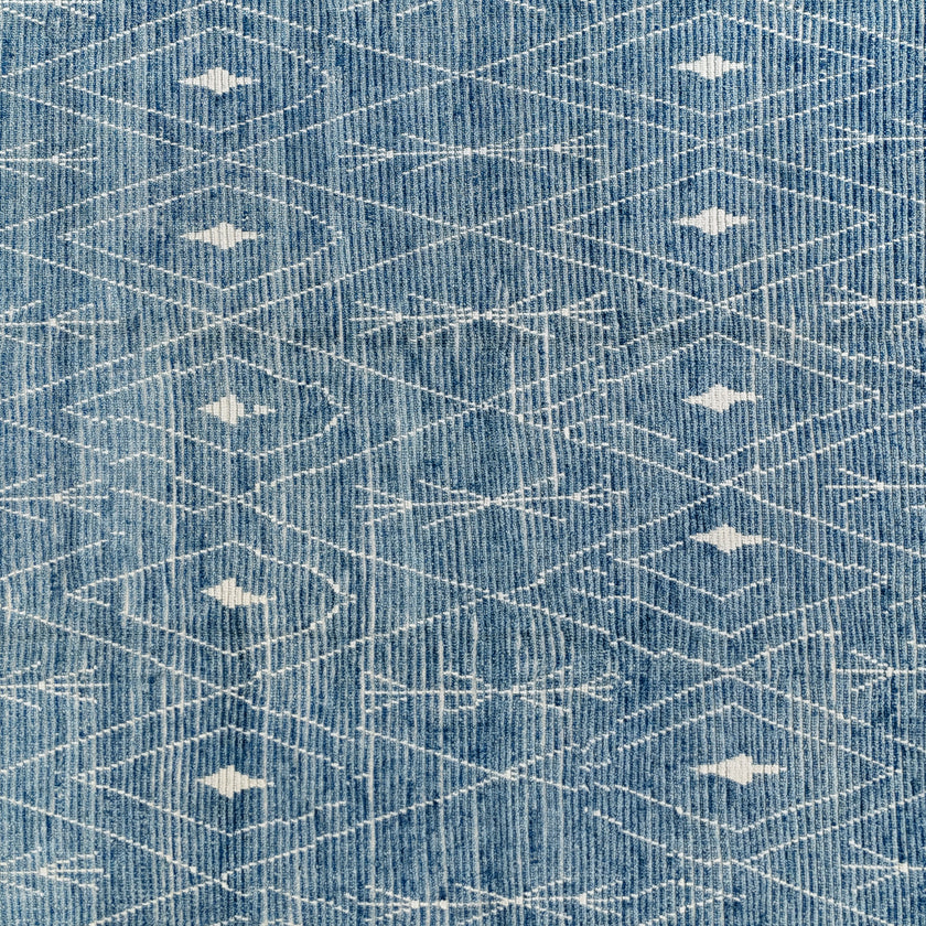 16977 Handwoven Rug 9’8 x 13’9