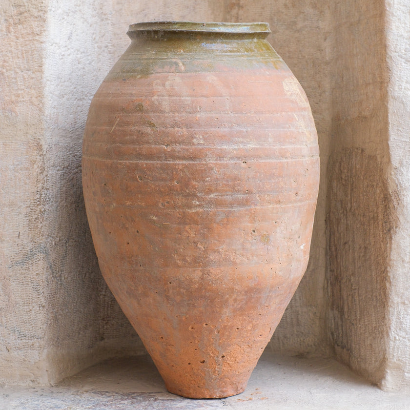 Olive Jar 264 (22x39)