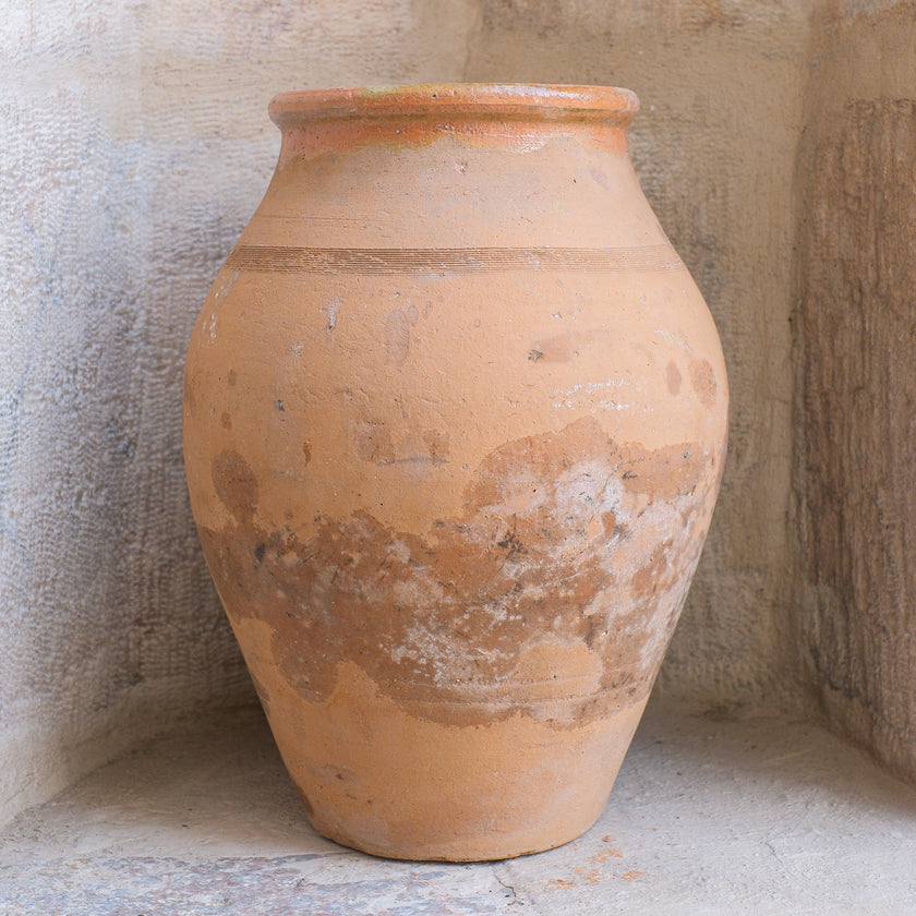 Olive Jar 266 (16x37)