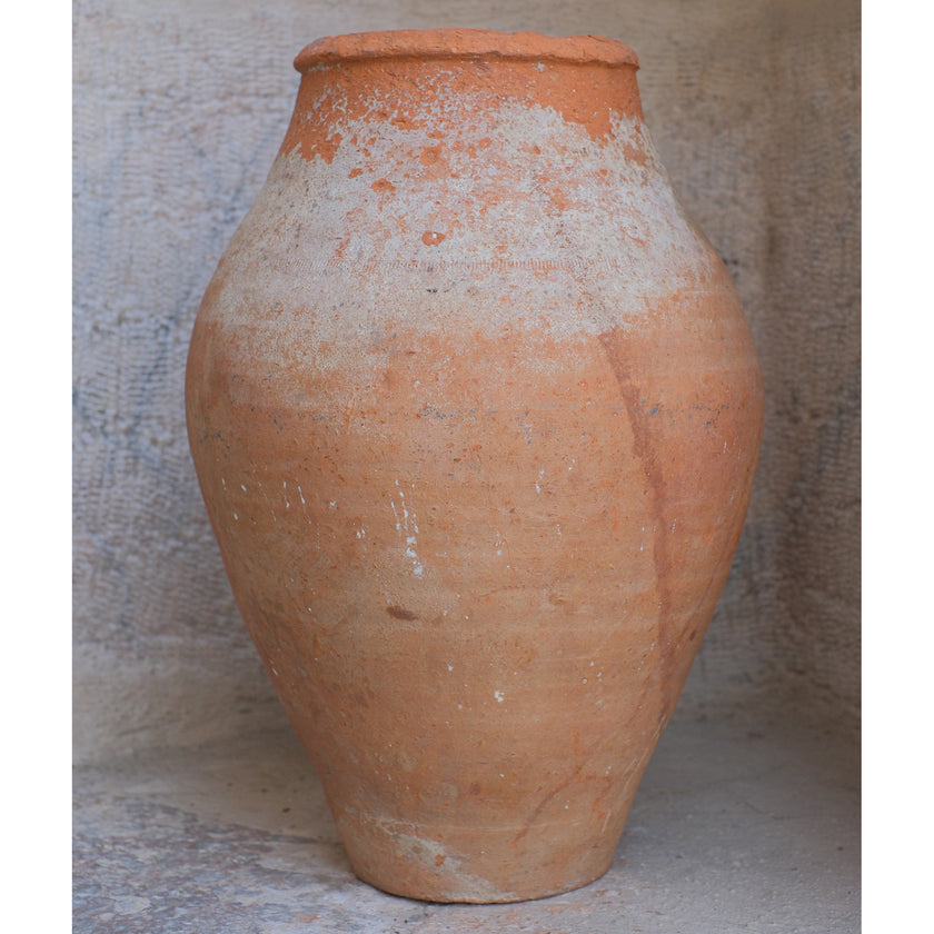 Olive Jar 323 (14x31)