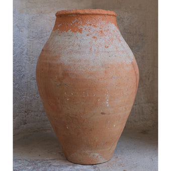 Olive Jar 323 (14x31)