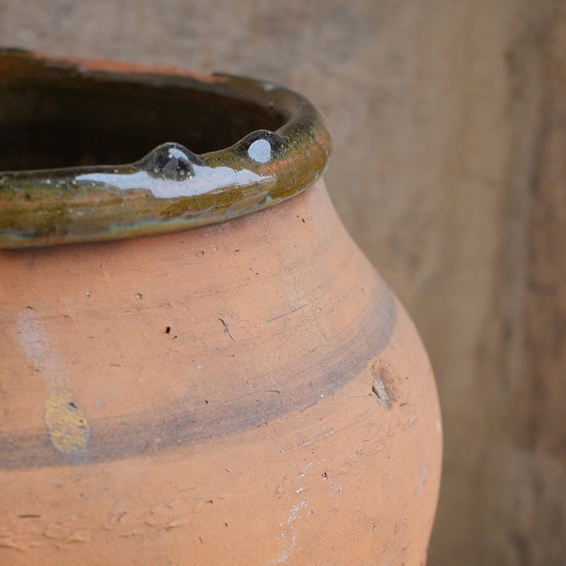Olive Jar #324