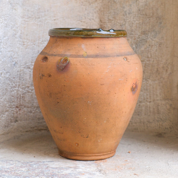 Olive Jar 324 (11x30)