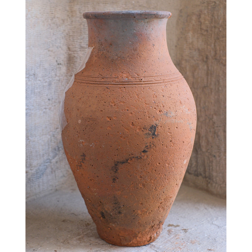 Olive Jar 355 (15x28)