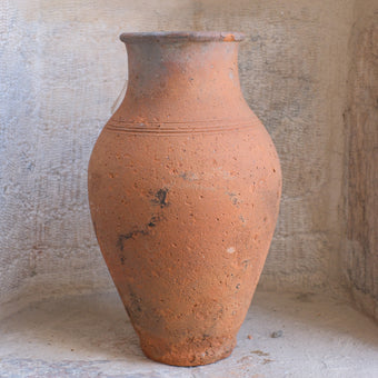 Olive Jar 355 (15x28)