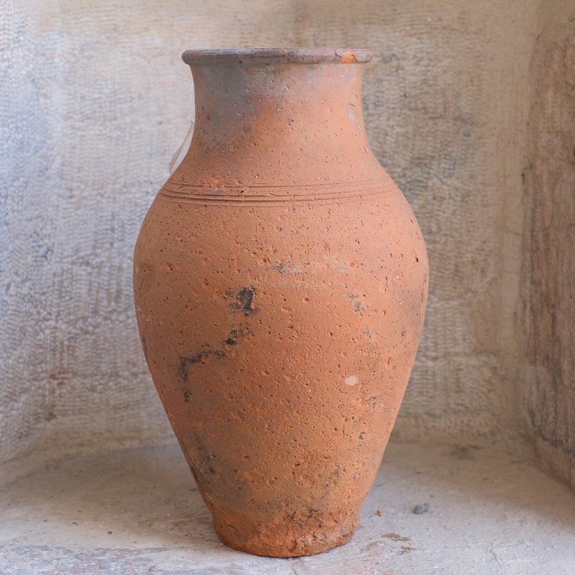 Olive Jar 355 (15x28)