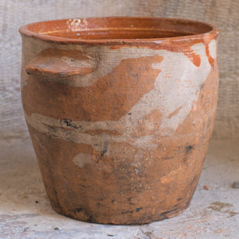 Olive Jar 378 (7x23)