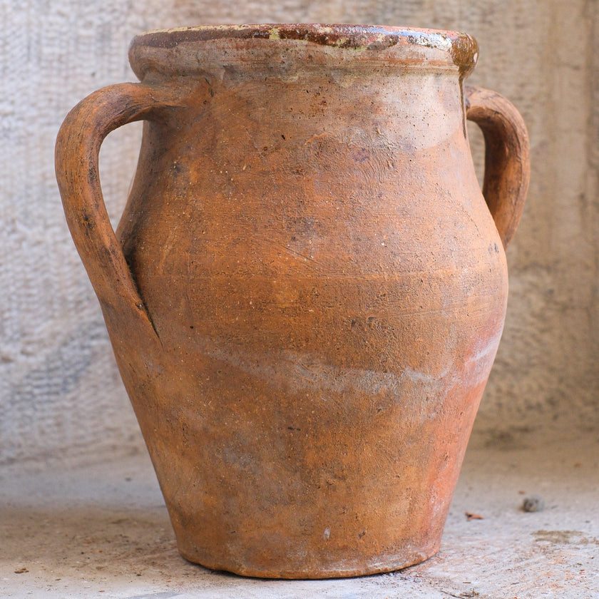 Olive Jar 382 (8x22)