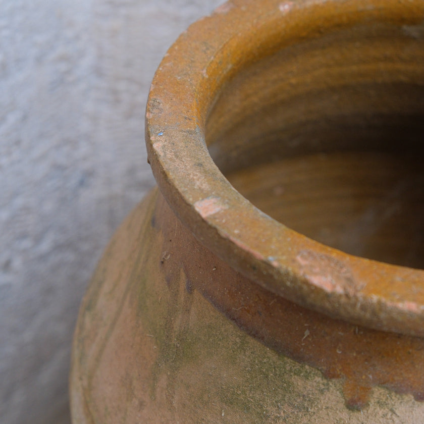 Olive Jar 426 (14x32)