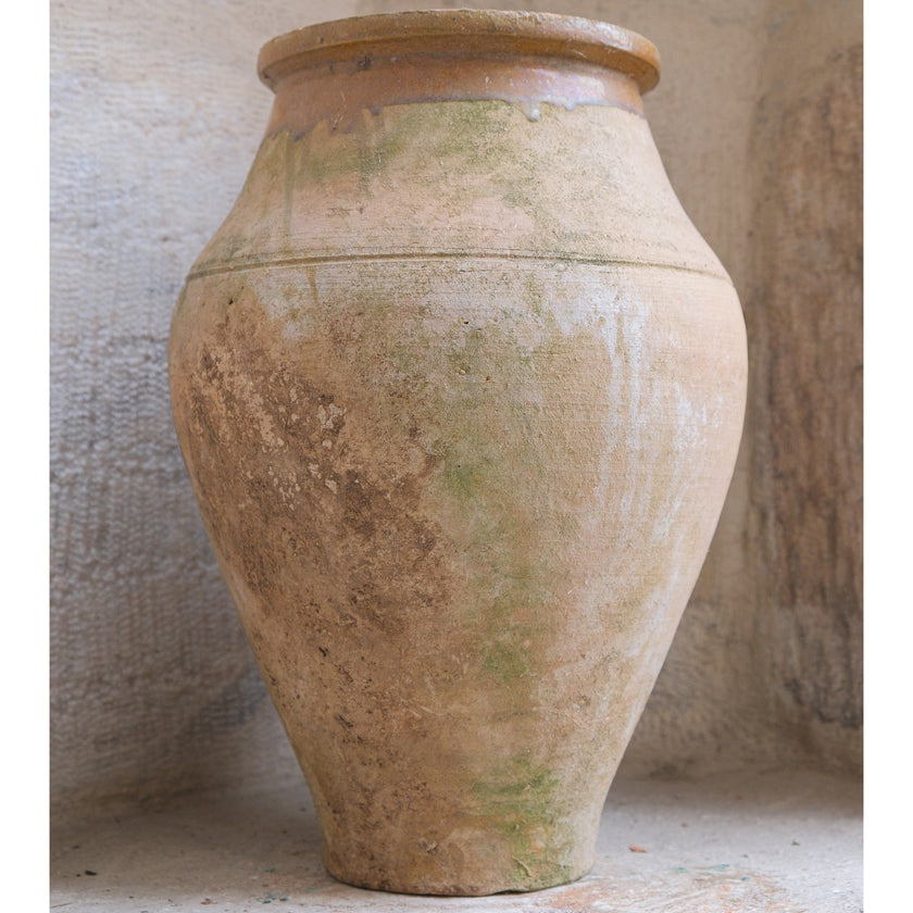 Olive Jar 426 (14x32)