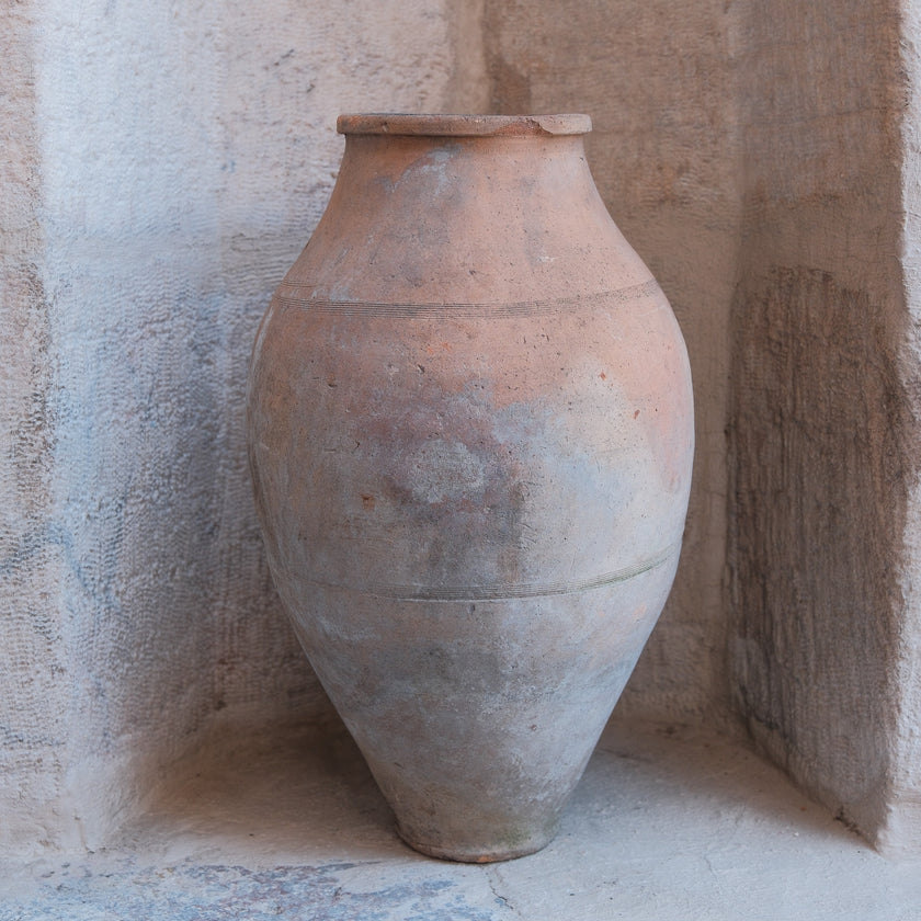 Olive Jar 515 (20x38)