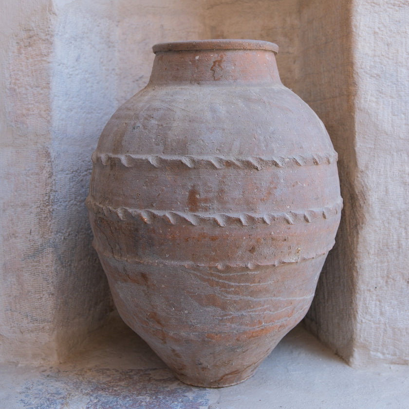 Olive Jar 526 (23x55)