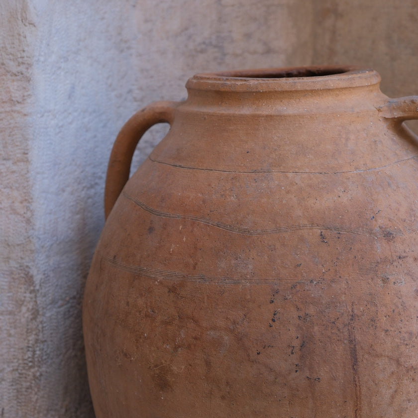 Olive Jar 540 (24x53)