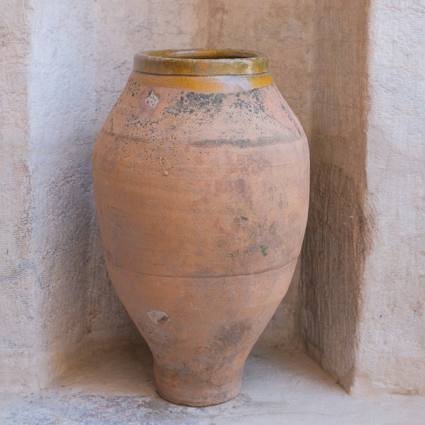 Olive Jar 544 (24x46)