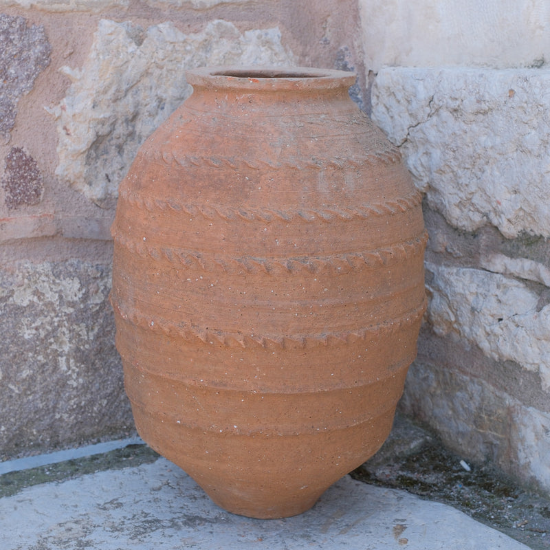 Olive Jar 545 (26x59)