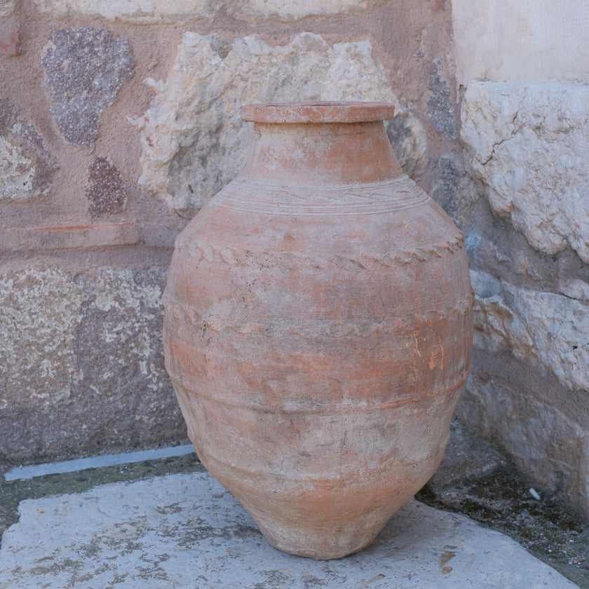 Olive Jar 547 (25x55)