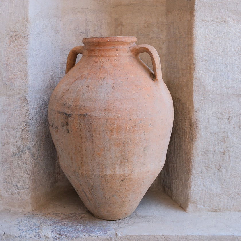 Olive Jar 556 (23x54)