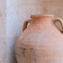 Olive Jar 556 (23x54)