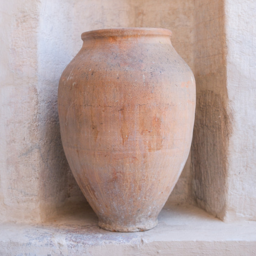 Olive Jar 562 (22x51)