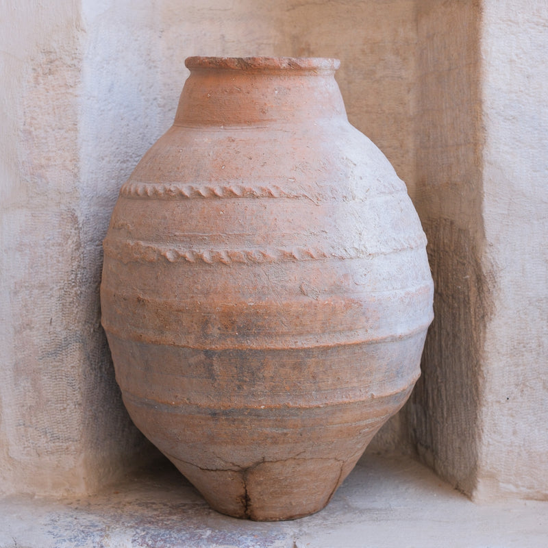 Olive Jar 563 (23x56)