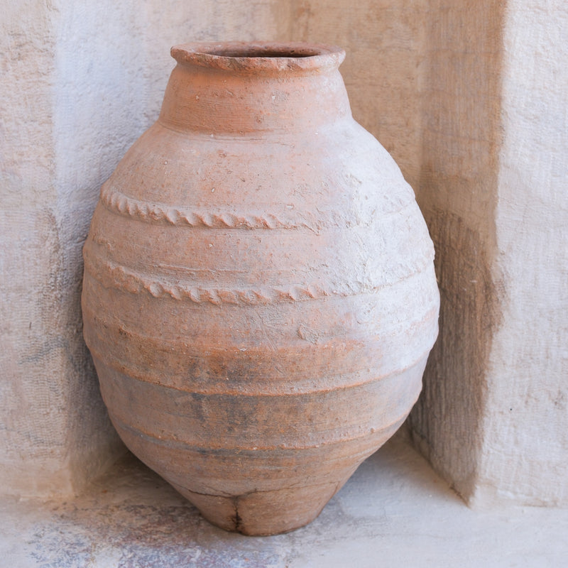 Olive Jar 563 (23x56)