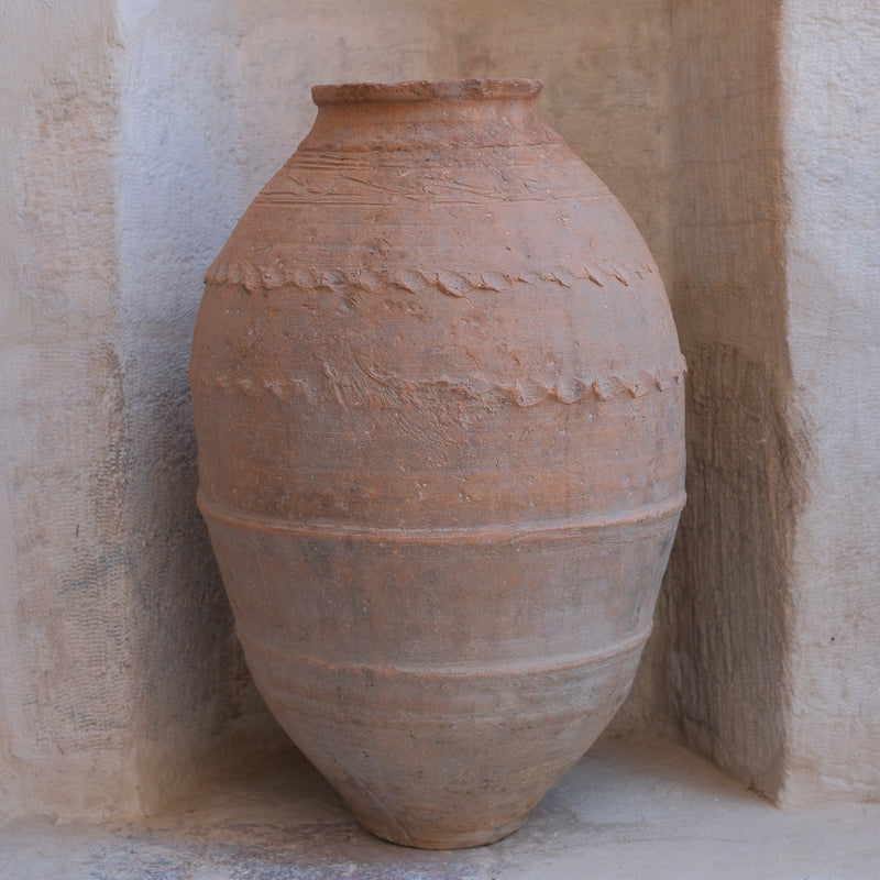 Olive Jar 566 (24x51)