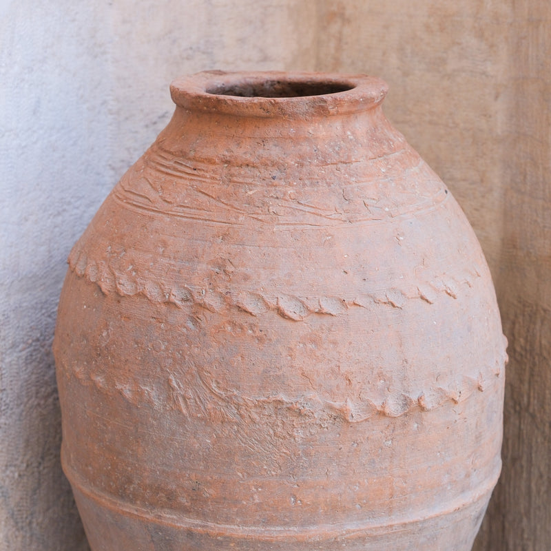 Olive Jar 566 (24x51)