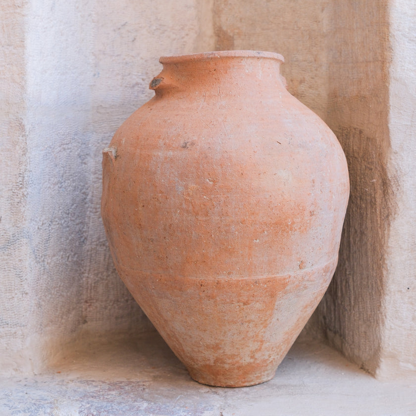 Olive Jar 571 (20x49)