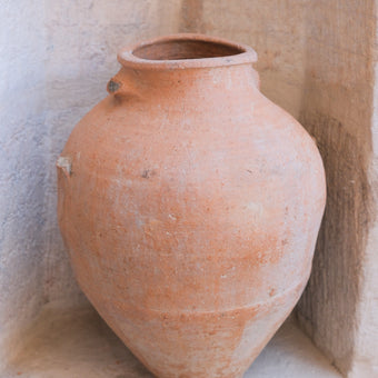 Olive Jar 571 (20x49)