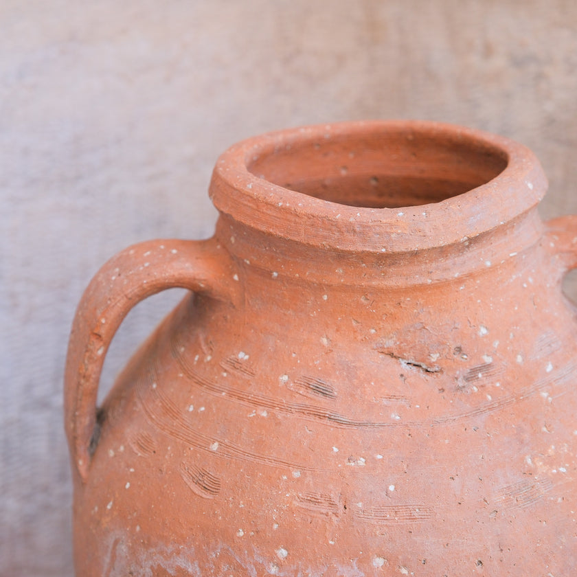 Olive Jar 589 (14x34)