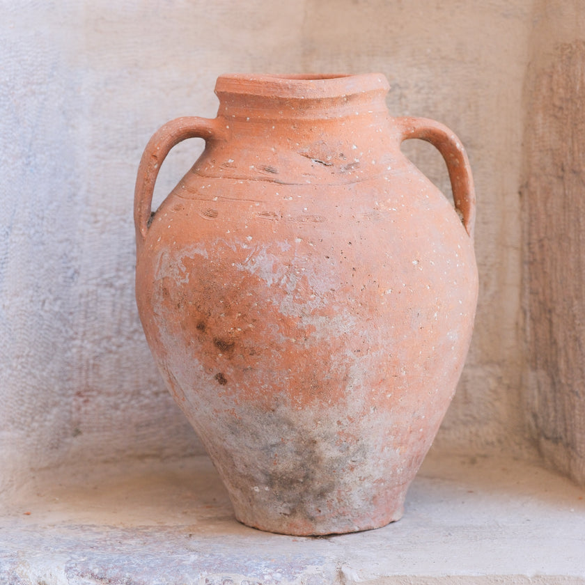 Olive Jar 589 (14x34)