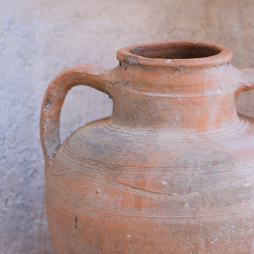 Olive Jar 591 (14x34)