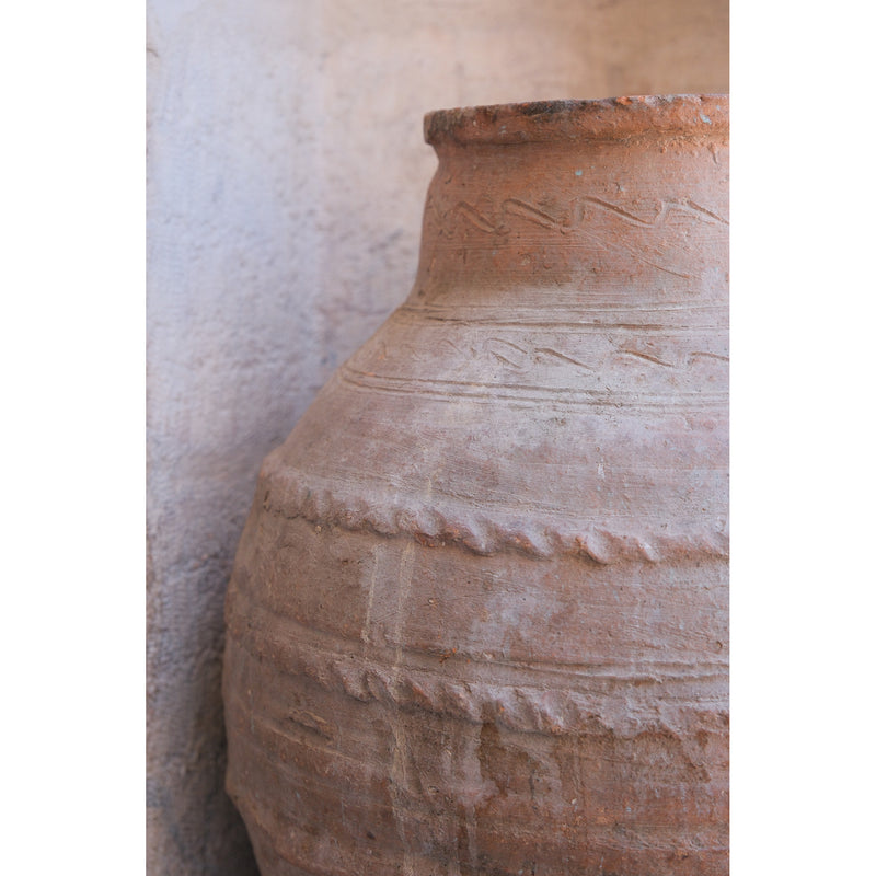 Olive Jar 592 (24x57)