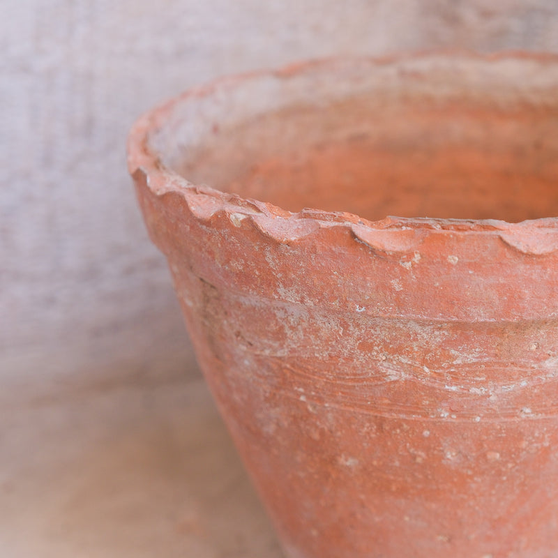 Olive Jar 609 (8x26) Zuma Imports