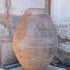 Olive Jar 644 (31x61)