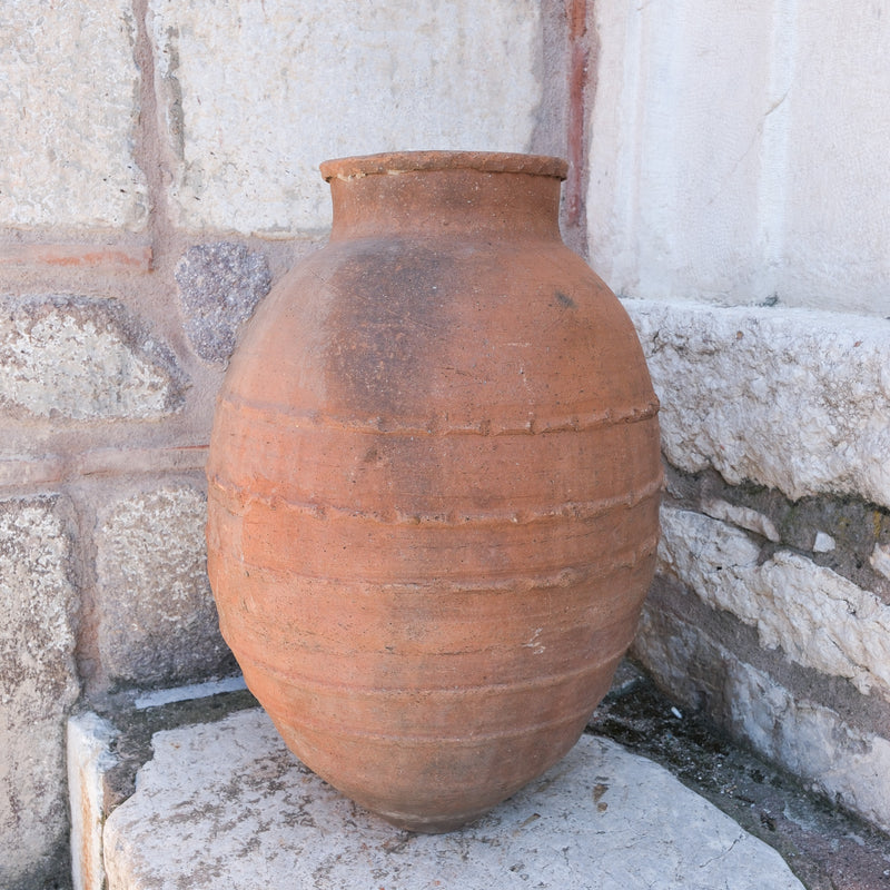 Olive Jar 647 (33x69)