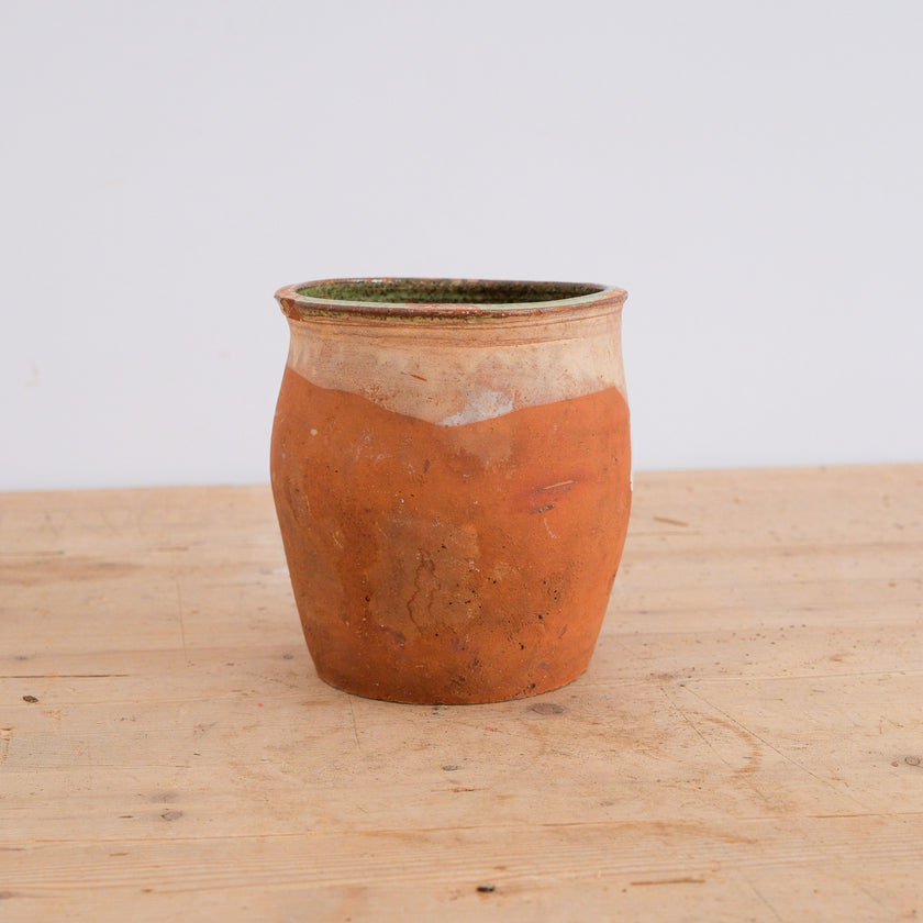 Olive Jar 748 (7x20)