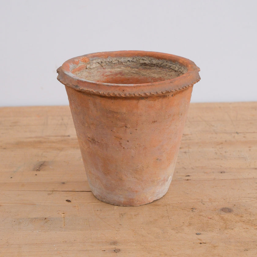 Olive Jar 750 (7x22)