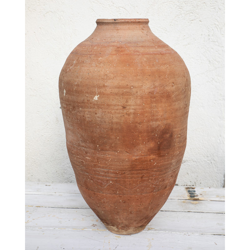 Olive Jar 822 (32x63)