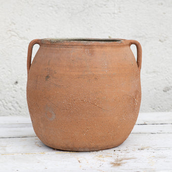 Olive Jar 832 (12x40)